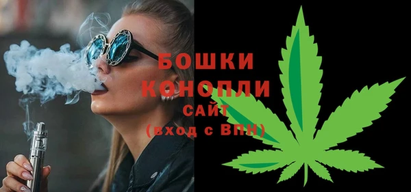 эйфоретик Бородино