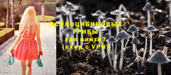 ALPHA-PVP Бугульма