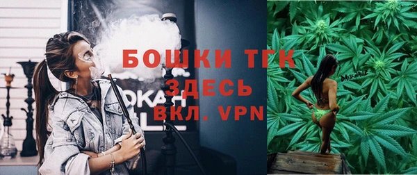 дживик Вязьма