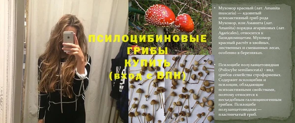 эйфоретик Бородино
