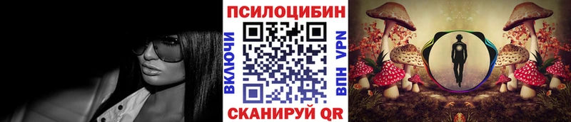 наркошоп  Жуковка  kraken ТОР  сайты даркнета какой сайт  Галлюциногенные грибы ЛСД 